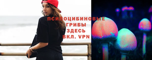 винт Алексин