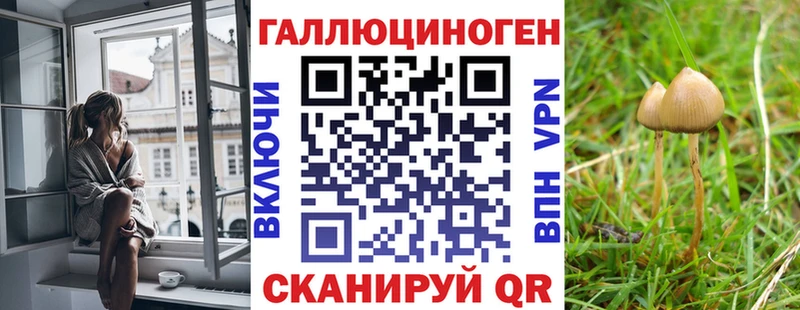 даркнет официальный сайт  закладка  гидра онион  Комсомольск  Псилоцибиновые грибы мухоморы 